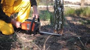 Lawn Grading and Leveling in Goose Creek Village, VA